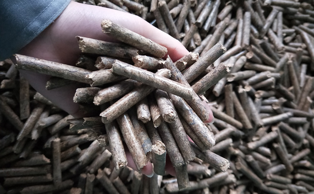 鋸末顆粒機(jī)顆粒，一種快速增長的能源載體