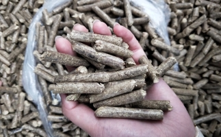 鋸末顆粒機木屑顆粒燃料市場前景如何？