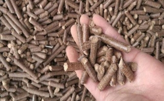 鋸末顆粒機生物質(zhì)燃料與燃煤對比情況如何？