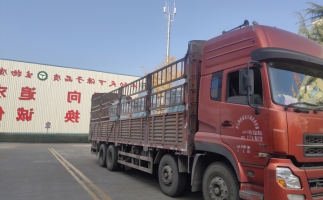 忙碌的五月，忙碌的發(fā)貨，金格瑞顆粒機生產(chǎn)線發(fā)往全國各地