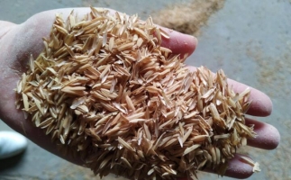 為什么稻殼較難燃燼?稻殼顆粒機(jī)生產(chǎn)顆粒幾個(gè)步驟？