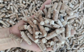 木材加工廠木屑堆積如山，環(huán)保部門令趕緊處理怎么辦？有它就夠了