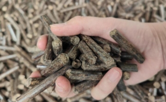 木屑燃料顆粒熱值多少大卡，完全取決于燃料的原料